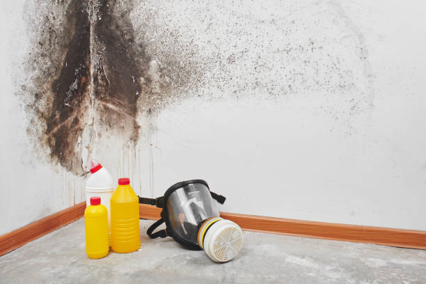 Best Bathroom Mold Remediation in Buzzards Bay, MA